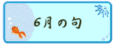  6月の句 