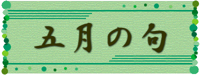 五月の句