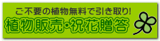 �A���̔��E�j�ԑ���