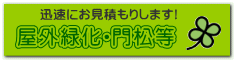 ���O�Ή��E�叼��